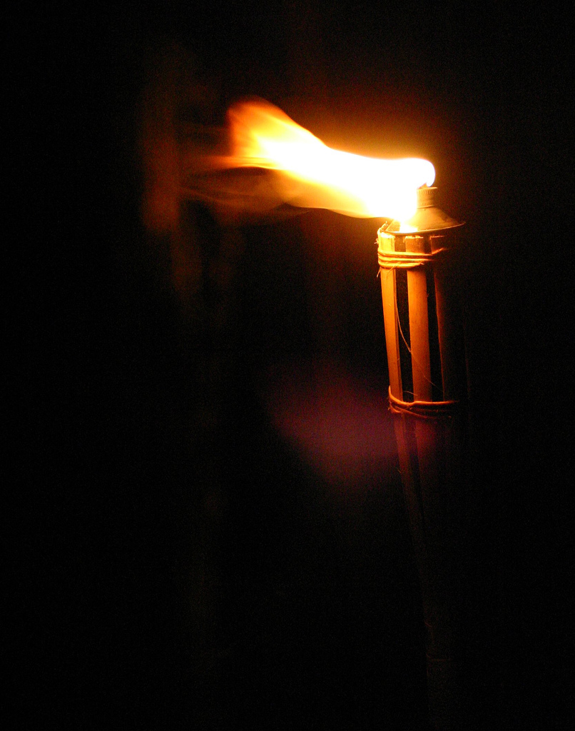 1470800725_304__lesson_3_torch.jpg