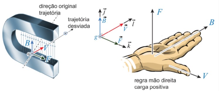 EM146.jpg